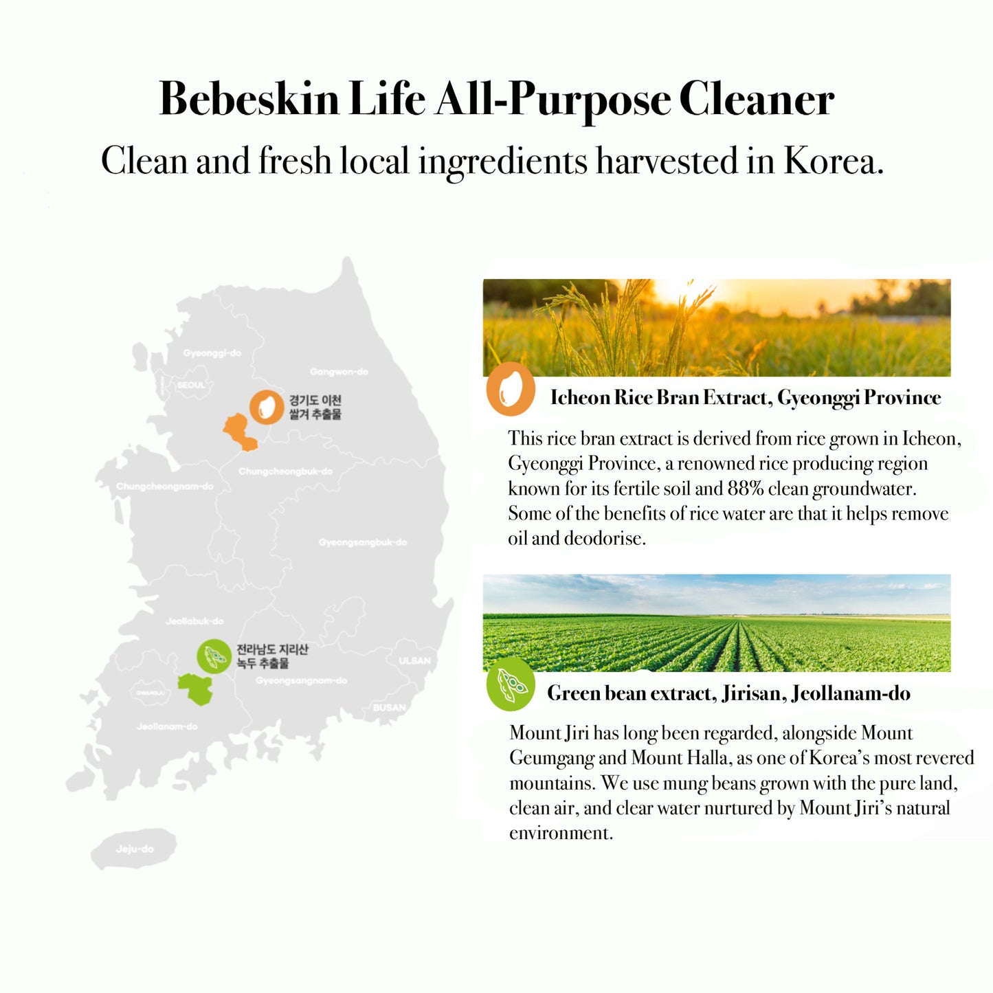 Bebeskin Life All Purpose Cleaner Grapefruit and Lemon (Vegan) 500ml