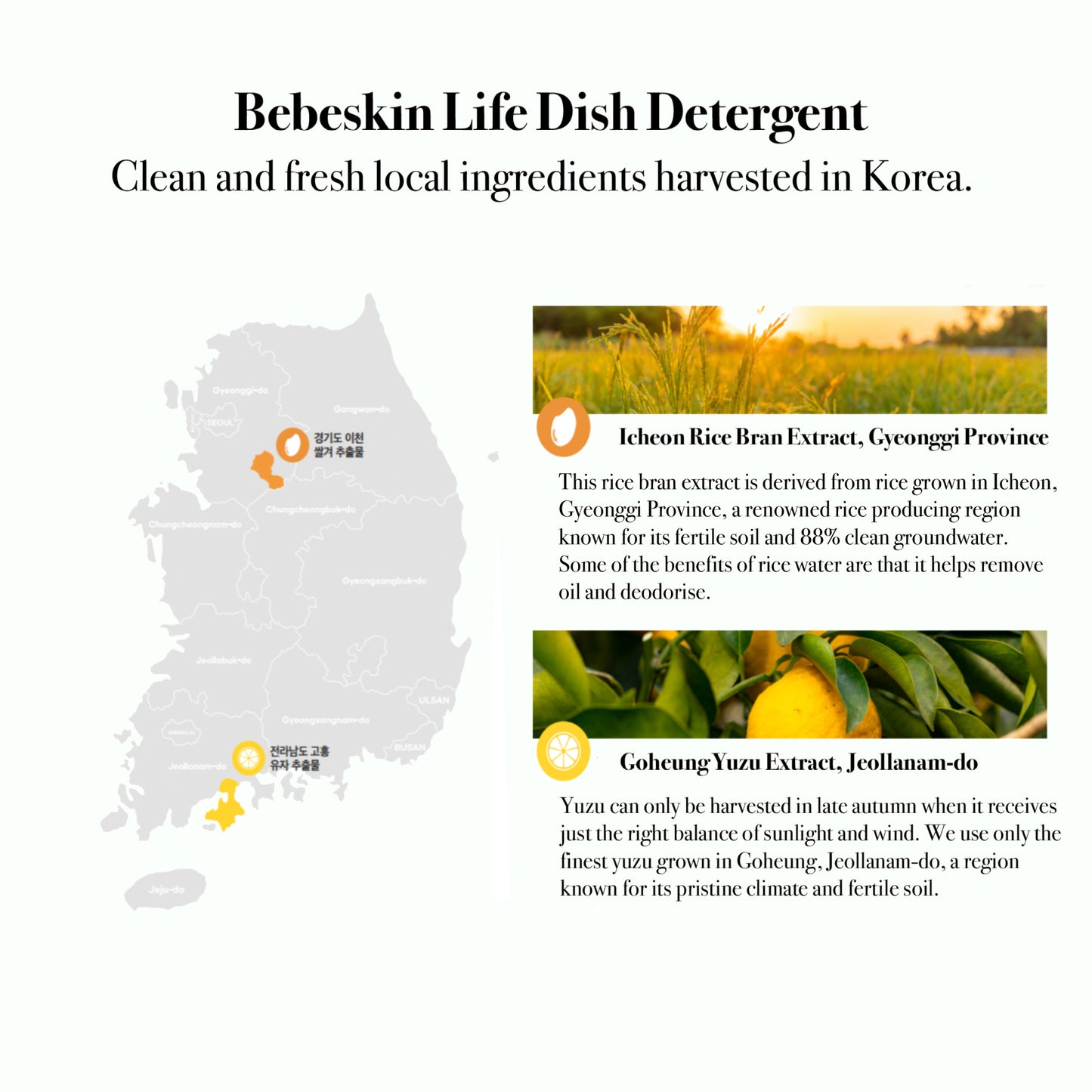 Bebeskin Life Green Tangerine Dish Soap [Vegan Certified] 1000ml